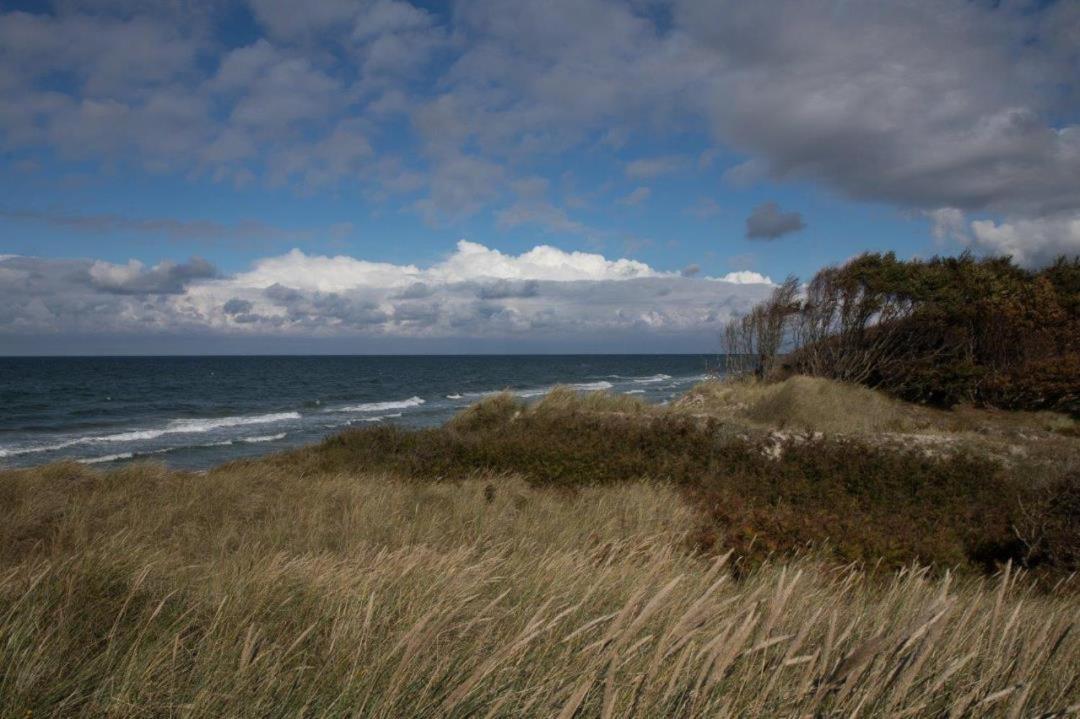 Studio 11 Im Haus Stranddistel, Modernes Studio Im 1 Og Fur 2 Personen In Zingst Exterior foto